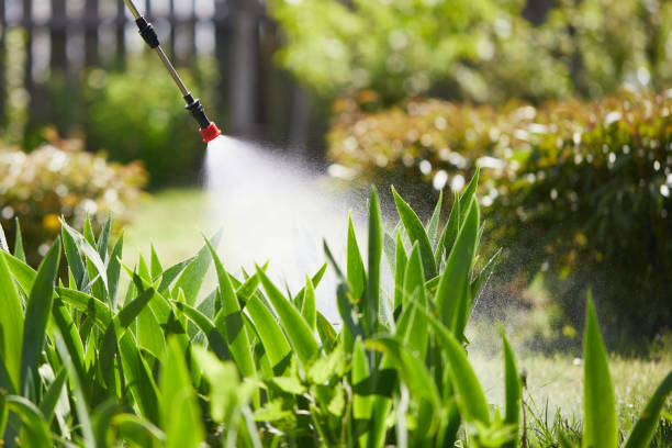 24/7 Emergency Mosquito Control experts in Clarksville, IA